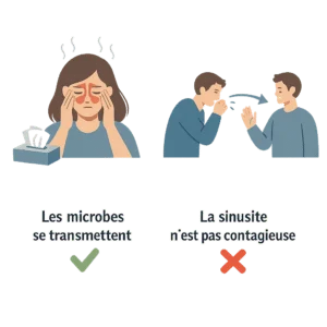 Sinusite et contagion, avec ce qui se transmet vraiment et ce qui ne se transmet pas